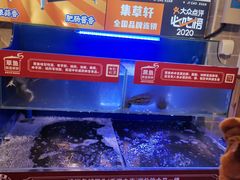 -集草轩·重庆麻辣烤鱼(西湖道店)