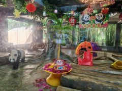 -海南热带野生动植物园
