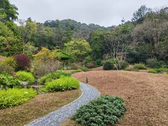 -云溪植物园