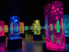 -南京金牛湖风景区