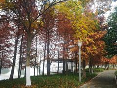 -尚贤河湿地