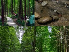 -桤木河湿地公园