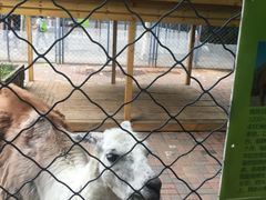 -长白岛森林公园