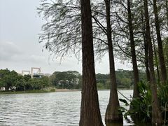 -东莞植物园