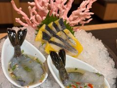 -德川家日本料理(中关村寰太大厦店)