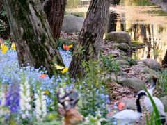 -上海共青森林公园