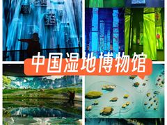 -中国湿地博物馆