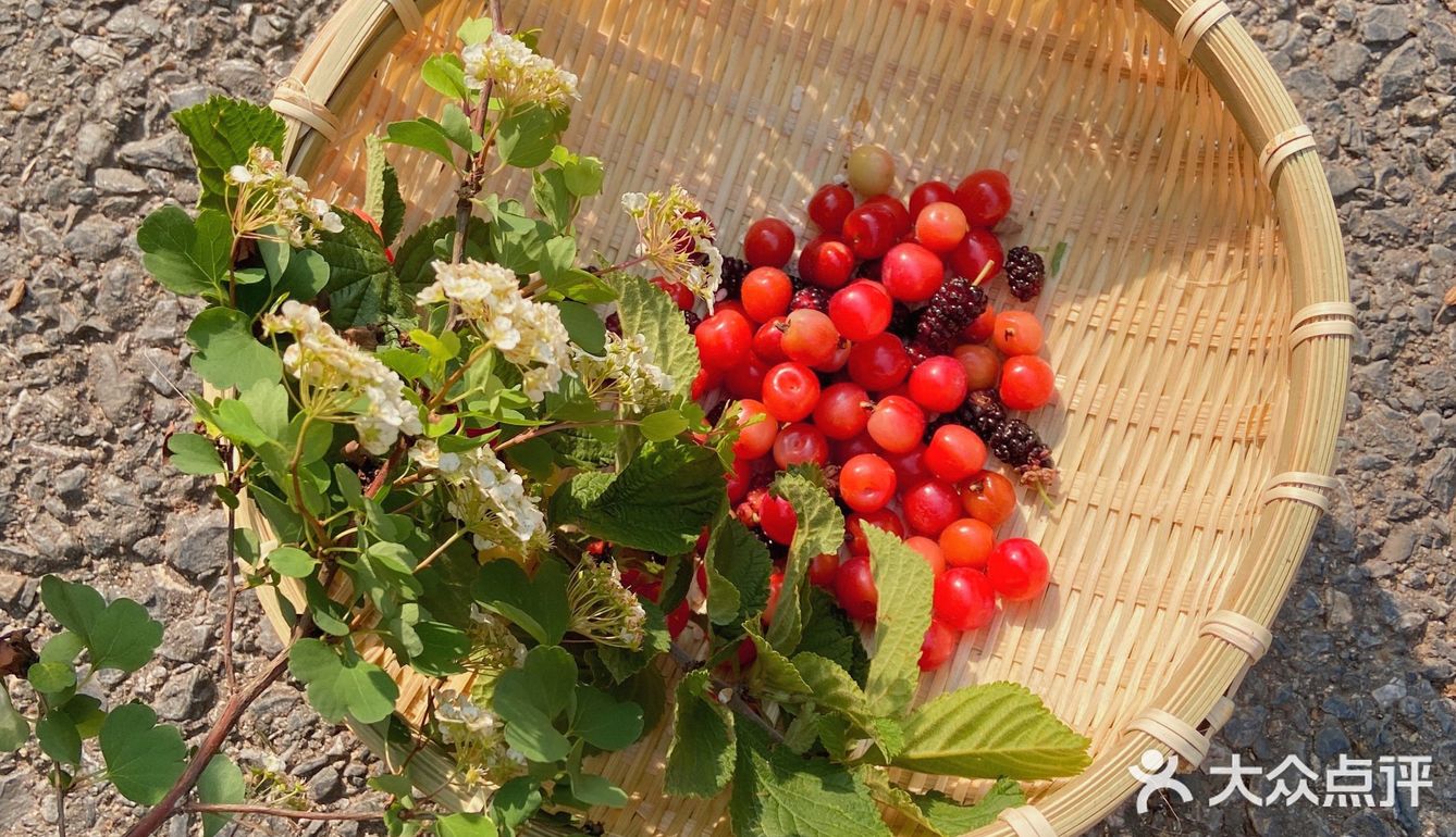 大连郊游 | 能见山 能见海 也能见你的地方