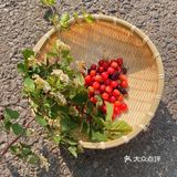 大连郊游 | 能见山 能见海 也能见你的地方