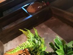 -云晓光头烧烤吧(盛夏店)
