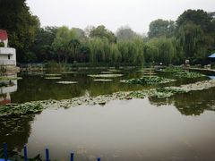-洛阳市牡丹公园