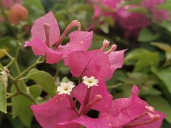 -美的鹭湖探索王国