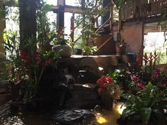 -DOI CHAANG Caffè Maesuai