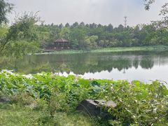 -上海怡沁园度假酒店