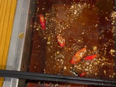 -古彭7只羊·招牌白串·碳锅羊肉旗舰店