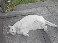 -LikingFit24小时健身•普拉提(张江店)