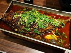 香辣炝锅鱼-树厨地道黔菜(凯里韶山南路店)