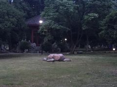 -汉水公园