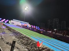 -沈阳奥体冰雪嘉年华