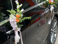 -碧江金楼