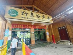 -野象谷景区