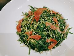 -沪碟·精菜坊(闵行店)