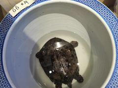 -元银甲·湖北地标美食(汉阳店)
