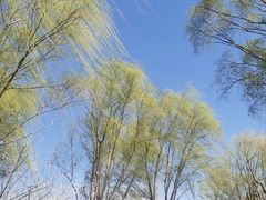 -三里河公园