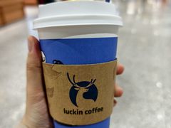 -瑞幸咖啡(岗厦北地铁站东区店)