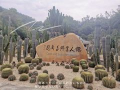 -深圳仙湖植物园