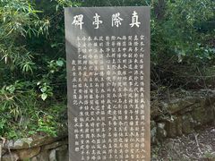 -天目山大树王景区