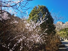 -北京凤凰岭