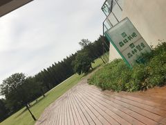 -黄海国家森林公园