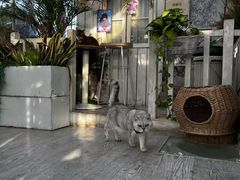 -小时光咖啡馆(北锣鼓巷店)