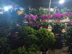 -中环花鸟鱼虫市场