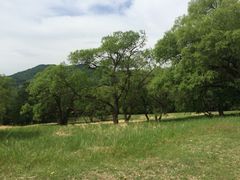 iphone_upload_pic-神鹿雪场