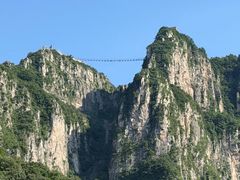-王莽岭风景区