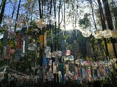 -剑门关风景区