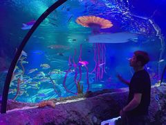 -沈阳海洋探索中心