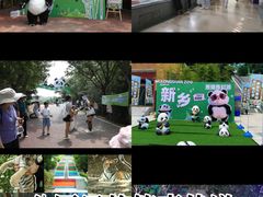 -五龙山野生动物王国