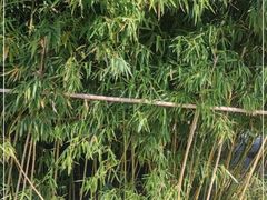 -安徽省地质博物馆