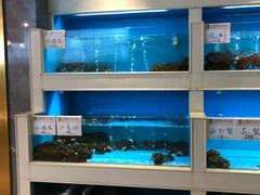 水产区-富黎华海鲜大酒楼(正大广场店)