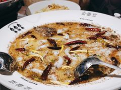 -渔语鱼新川菜Bistro(万象天地店)
