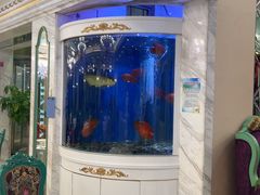 -齐家花园大酒店(宝山店)