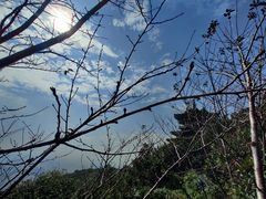 -杭州半山国家森林公园