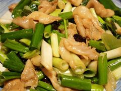 葱拌鸟贝-日丰园海肠水饺·老字号大连海鲜(和平广场店)