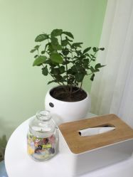 -纪梵希婚纱摄影(青岛店)