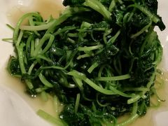 清炒时蔬-松鹤楼·非遗·苏帮菜(融科店)