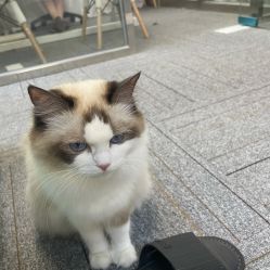 -元一肌肤管理中心