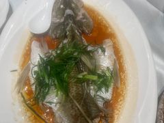 -清心鸡沙田乳鸽店·非遗传承(石溪店)
